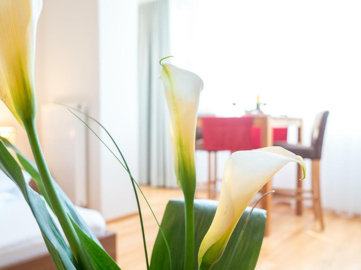 Der Brueckenwirt Aparthotel ไฮน์เฟลส์ ภายนอก รูปภาพ